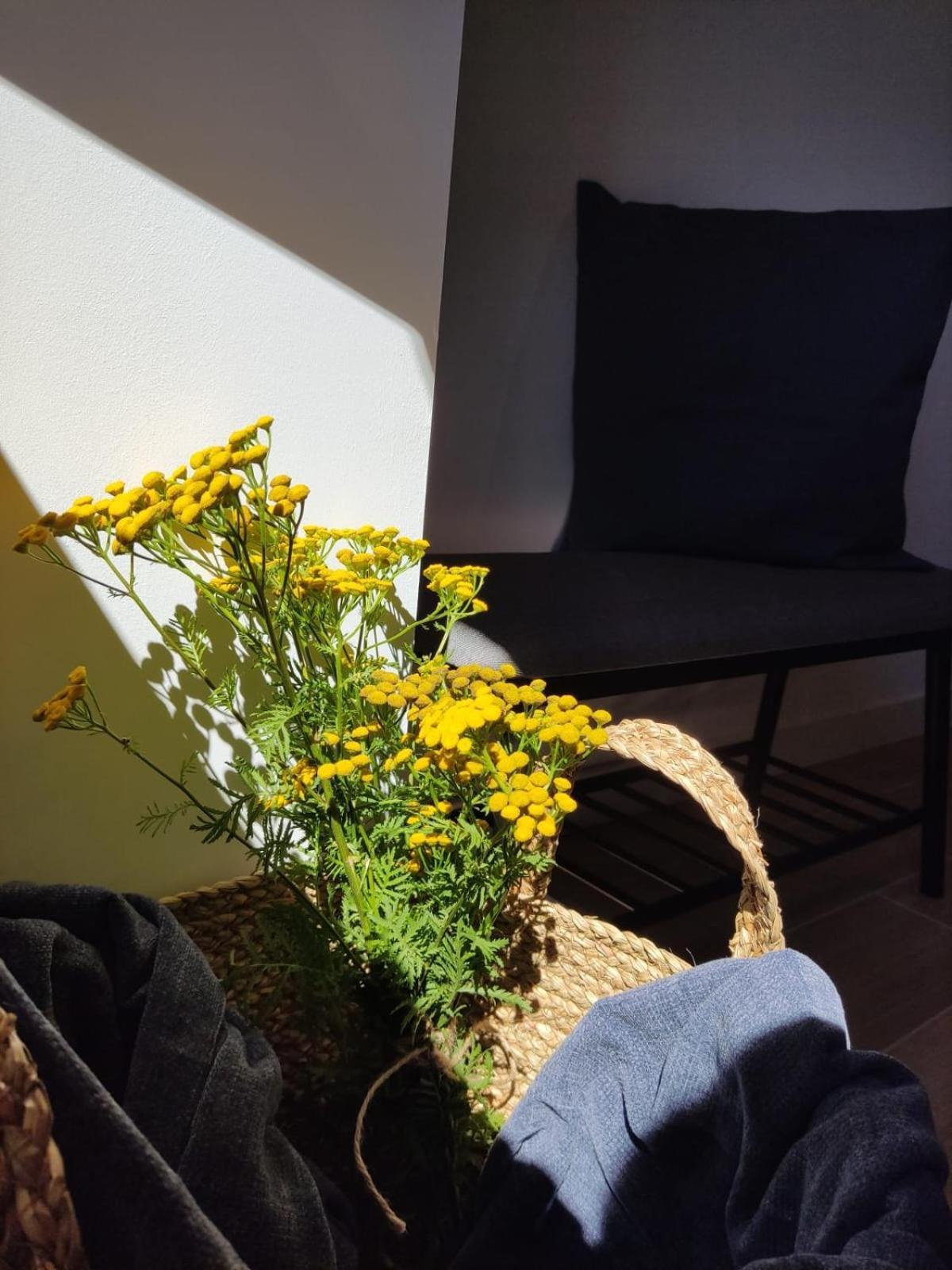 Casa Rural El Pinche Quincoces de Yuso Εξωτερικό φωτογραφία
